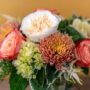 Chrysanthemum Charm